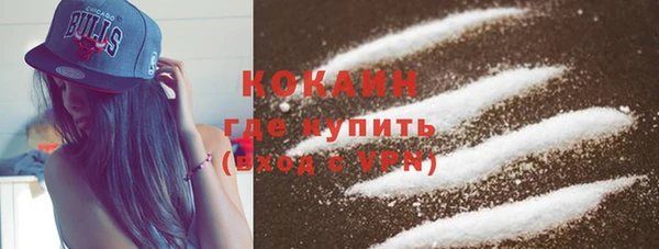 крисы Богородск