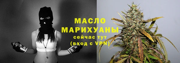 гашик Гусев