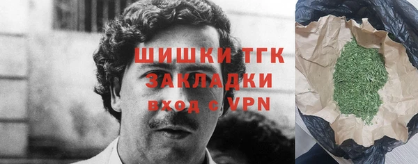 крисы Богородск