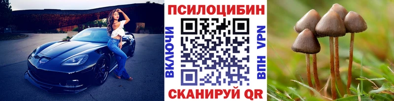 Галлюциногенные грибы GOLDEN TEACHER  Новомосковск 